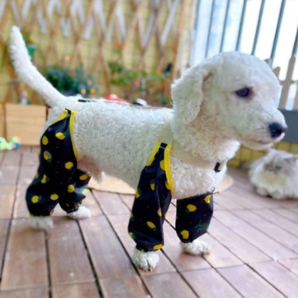 Bulk Dog Four Legged Waterproof Pants